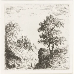 Paysage vallonné avec deux arbres sur un rocher