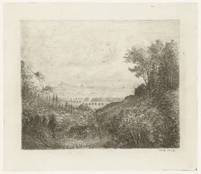 Paysage vallonné avec chemin vers la vallée
