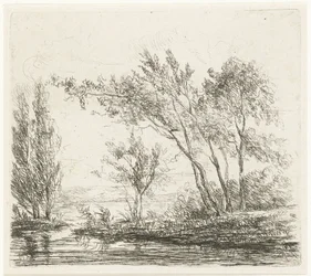 Paysage avec arbres près de l