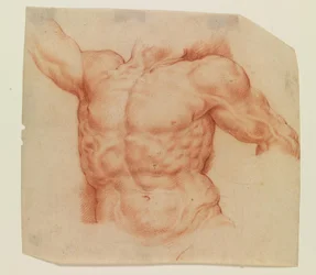 Vue de face du torse de Laocoon