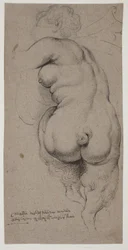 Faune femelle, vue de dos