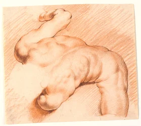 Lutteurs. Groupe de sculptures antiques. Figure supérieure