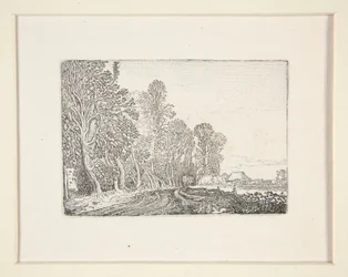 Route au bord de la forêt, Planche 4 de la série Les Paysages