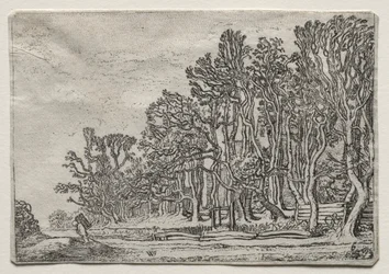 Le jeu des paysages : Deux haies de planches