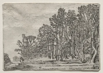 Le jeu des paysages : deux haies de planches, 1616