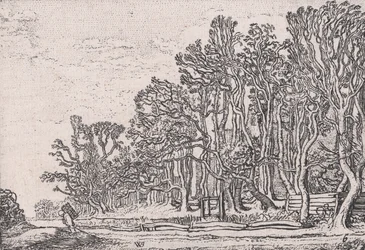 Deux Haies de Planches, de Verscheyden Landtschapjes Divers Petits Paysages, Planche 6