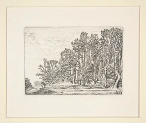 Deux haies de planches, Planche 6 de La série des paysages