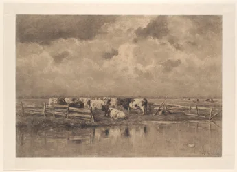 Melkbocht aan de Schie