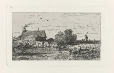 Vue d