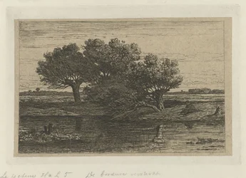 Pêcheur près des saules têtards