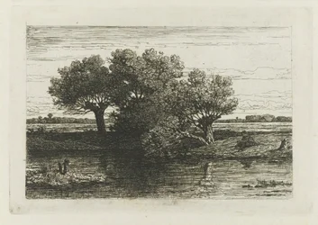 Pêcheur près des saules têtards