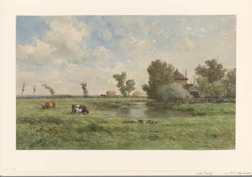 Prairie avec des vaches