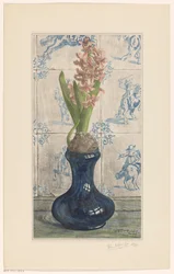 Jacinthe dans un vase en verre