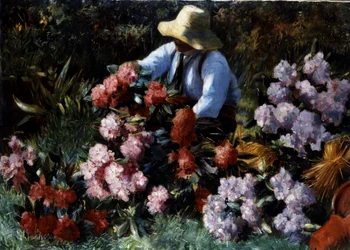 Rhododendrons. Un jardinier s
