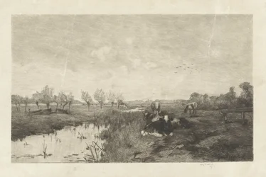 Polderlandschap met koeien