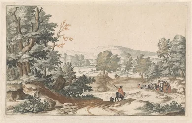Paysage boisé avec un chemin