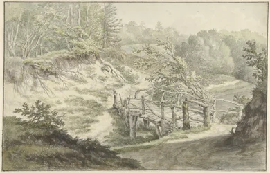 Paysage de dunes avec pont en bois