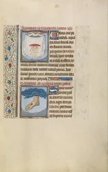Un ange tenant un linge avec la blessure saignante du Christ; Pied droit du Christ avec blessure