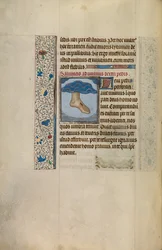 Le pied gauche du Christ avec une plaie