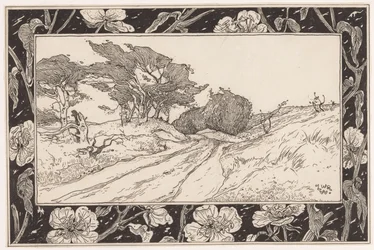 Paysage de dunes avec oyat
