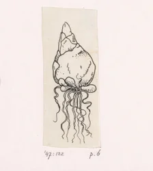 Bulbe de fleur