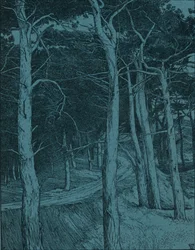 Forêt, vers 1912
