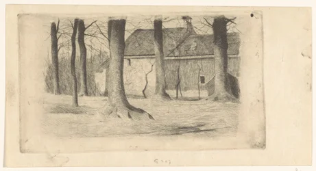 Arbres près d