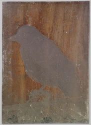 Le corbeau Ina