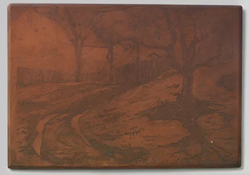 Chemin de dune