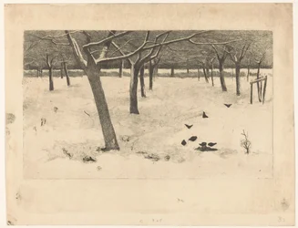 Verger enneigé avec des oiseaux