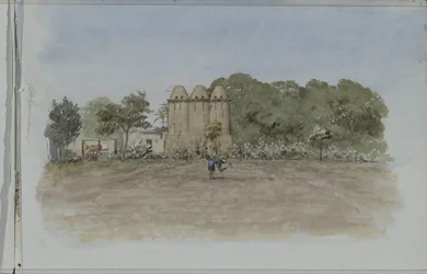 Tours de pigeons près d