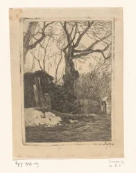 Takkenbos bij een heining met bomen