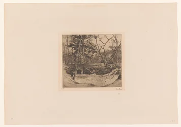 Forêt avec entrée vers un abri