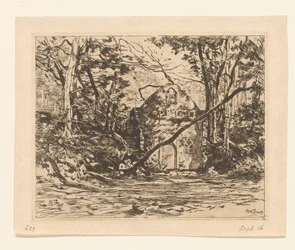Ruine dans une forêt
