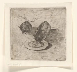 Deux chats, un buvant dans une assiette