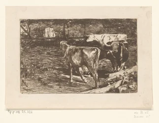 Quatre vaches dans un pré