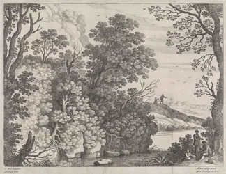 Paysage forestier