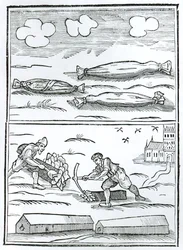 Facsmilie du hiéroglyphe de la Grande Peste tiré de "Monarchy or No Monarchy in England" de William Lilly, publié en 1651 (gravure sur bois) (photo n/b)