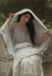 Voile