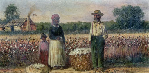 Cotton Pickers in the American South (planche) (pour la paire voir 67736)
