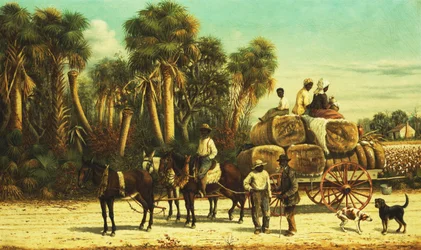 Le wagon de coton