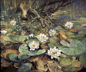 Bord du Dubh Lochan