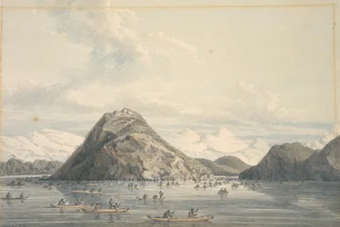 Port Dick, près de Cook
