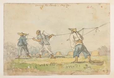 WD 959 section 2 f.41r