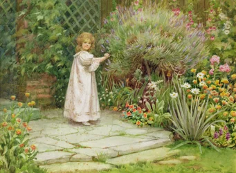 Mon jardin