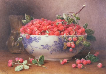 Nature Morte de Framboises dans un Bol Bleu et Blanc