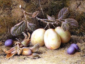 Nature morte avec prunes et noix
