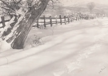 Chemin dans la neige