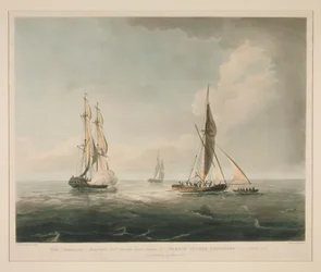 Le Cambrian de Boston