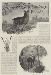 Les chiens du Devon et du Somerset